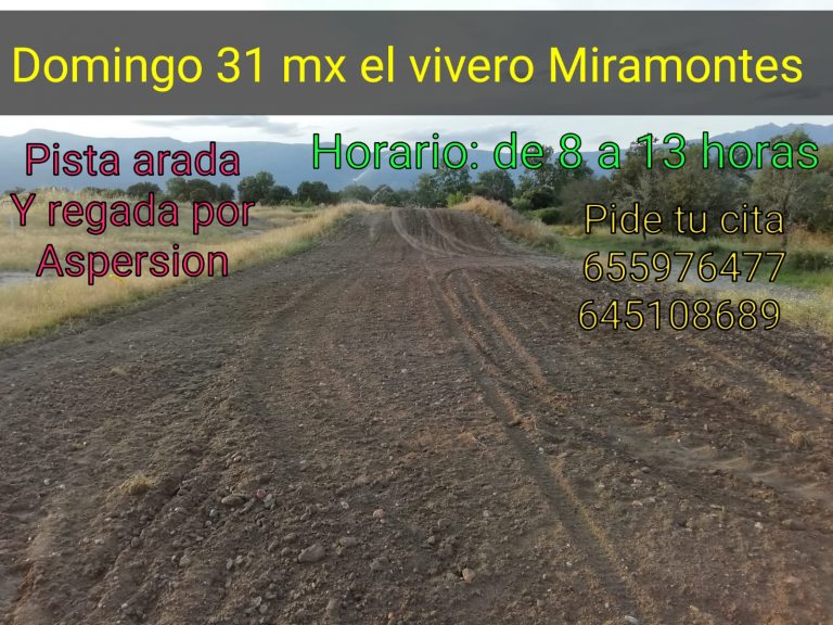 Entrenos mx el Vivero 2020-05-25