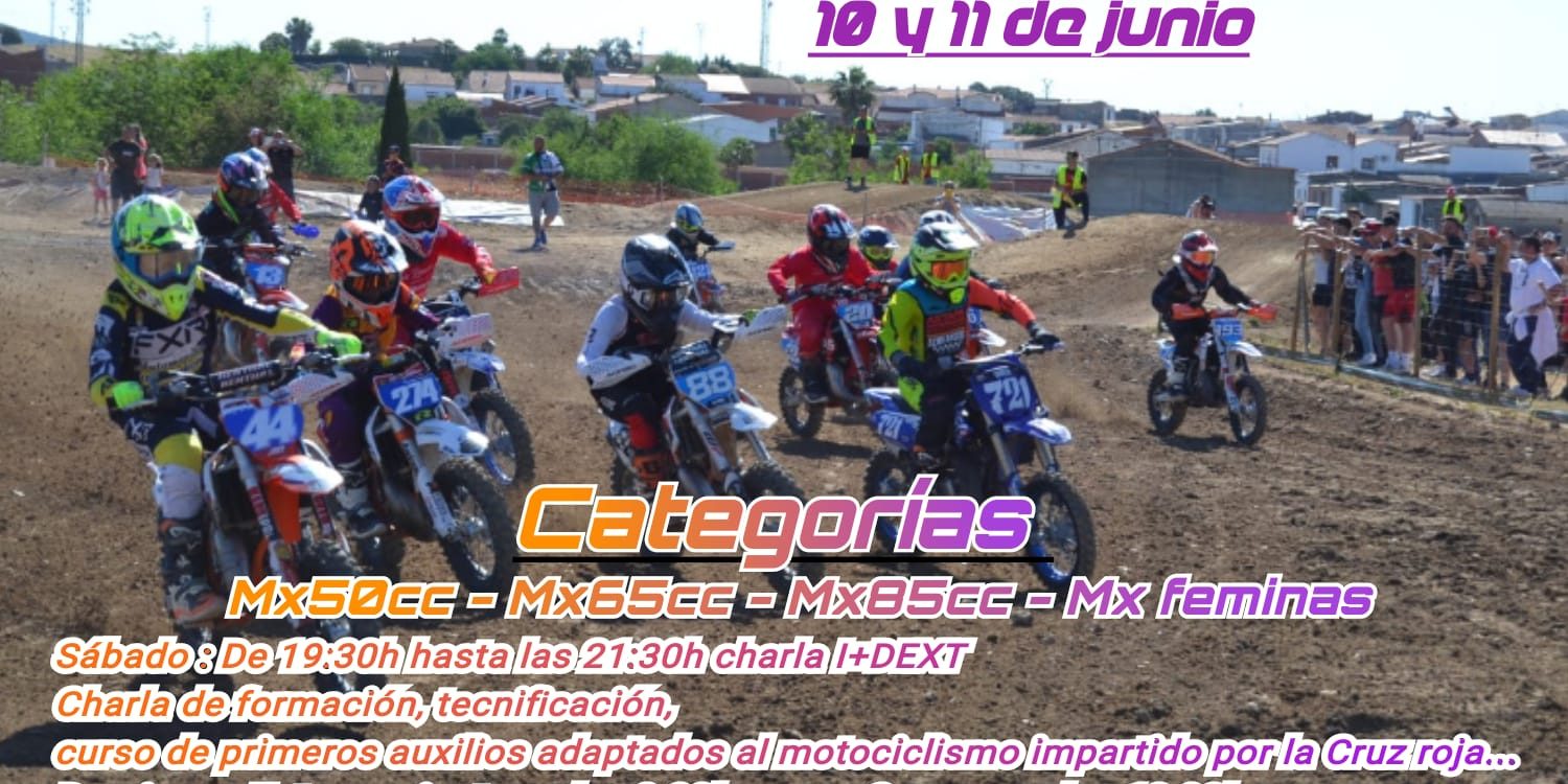 Cartel-defini.-IDEXT